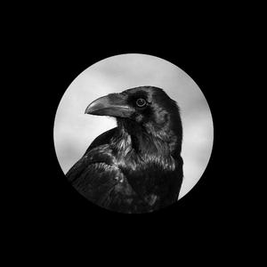 欧美亚洲日本韩国高清色图
