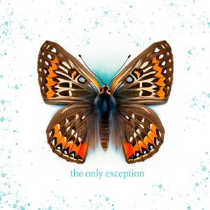 欧美亚洲日本韩国高清色图
