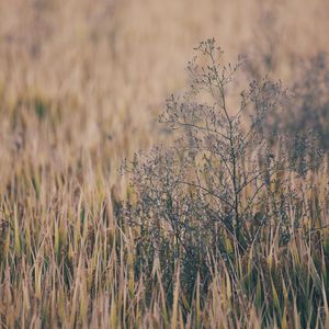 欧美亚洲日本韩国高清色图
