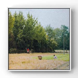 欧美亚洲日本韩国高清色图
